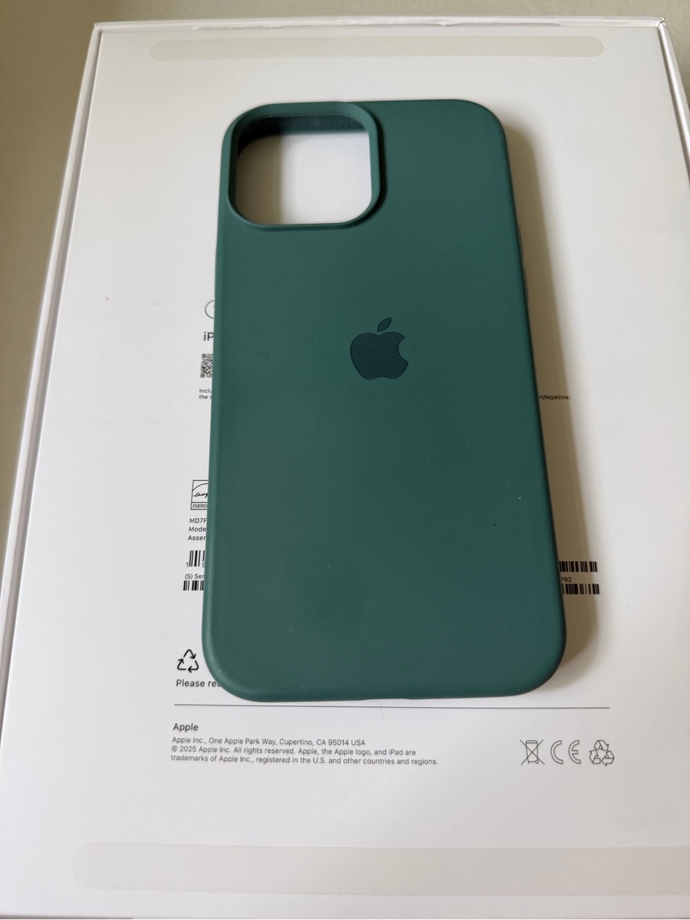 Apple Silicone iPhone Case in Teal Green